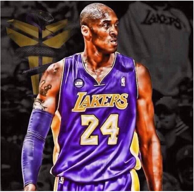 组合的复出 组合的复出